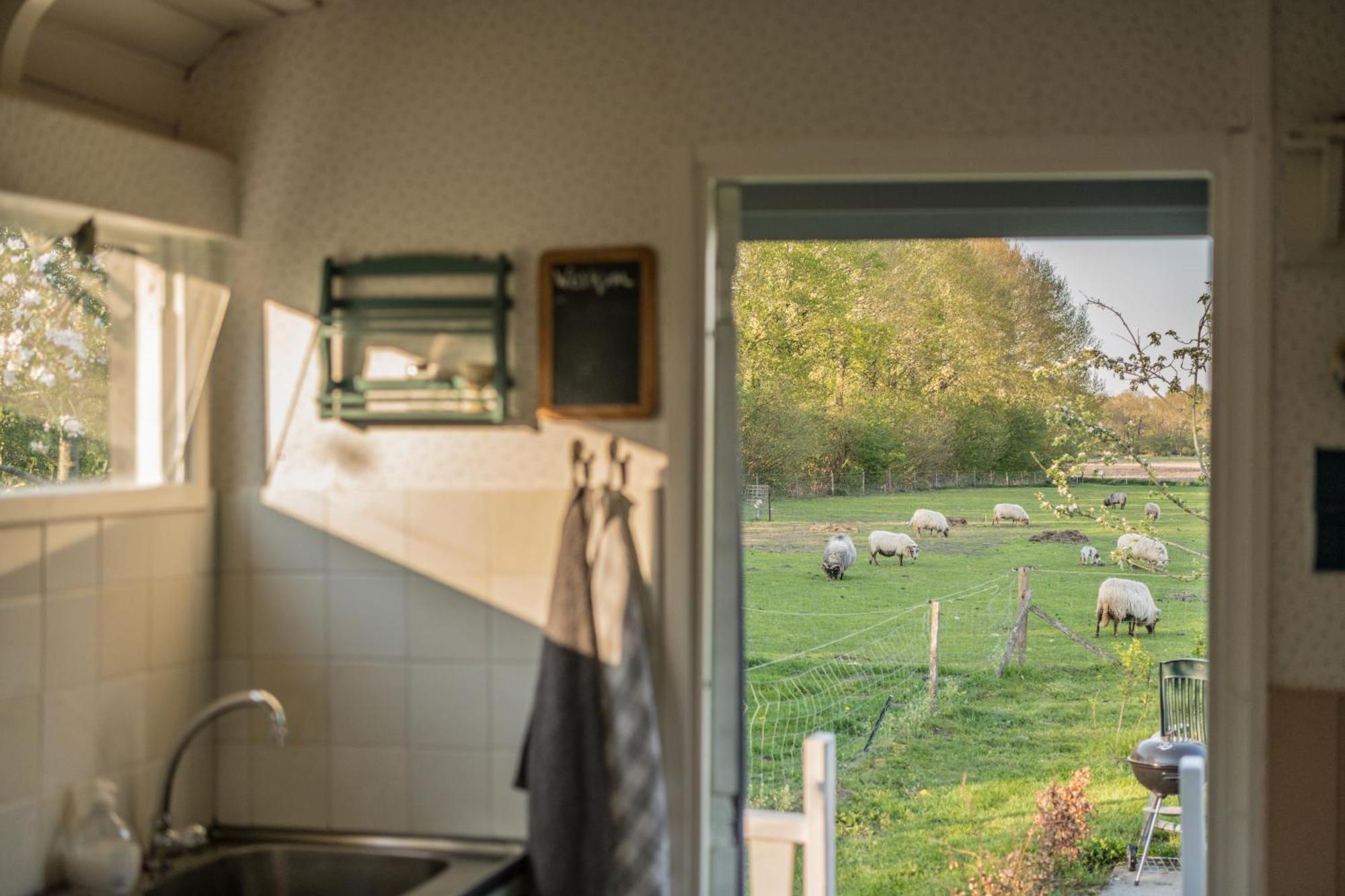 Pipowagen Elsebein Groningen Westerwolde Unieke Ligging Met Eigen Tuin En Vrij Uitzicht Over Veld Naar Natuurgebied Onstwedde Exterior foto