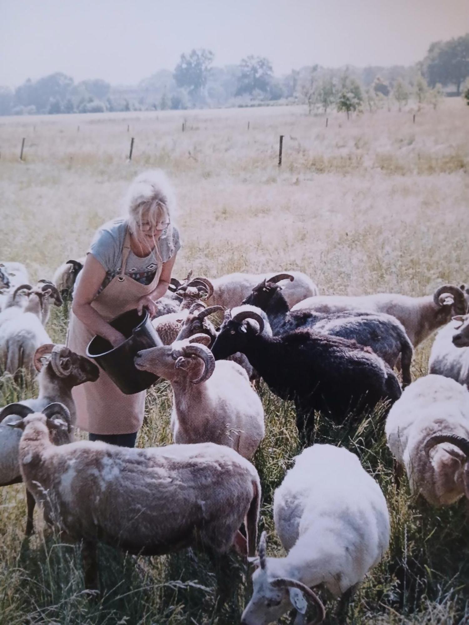 Pipowagen Elsebein Groningen Westerwolde Unieke Ligging Met Eigen Tuin En Vrij Uitzicht Over Veld Naar Natuurgebied Onstwedde Exterior foto